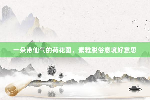 一朵带仙气的荷花图，素雅脱俗意境好意思